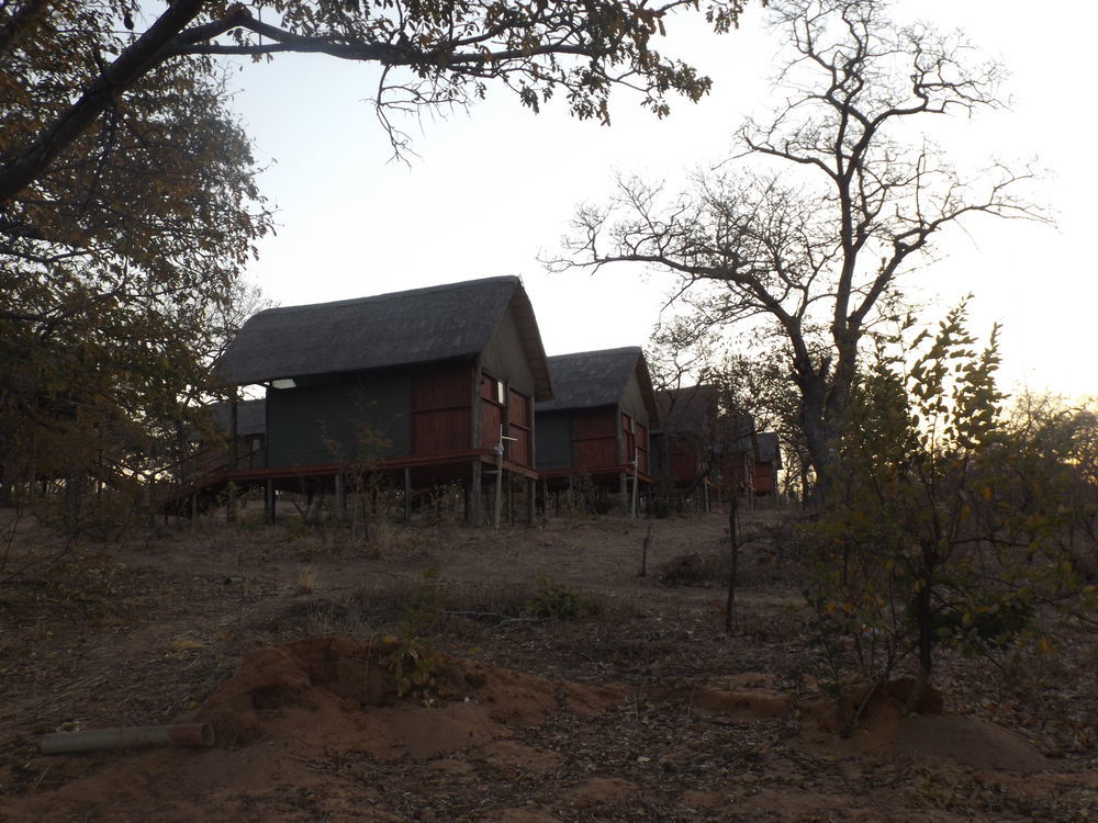 Lion Roars Lodge Lesoma Eksteriør billede