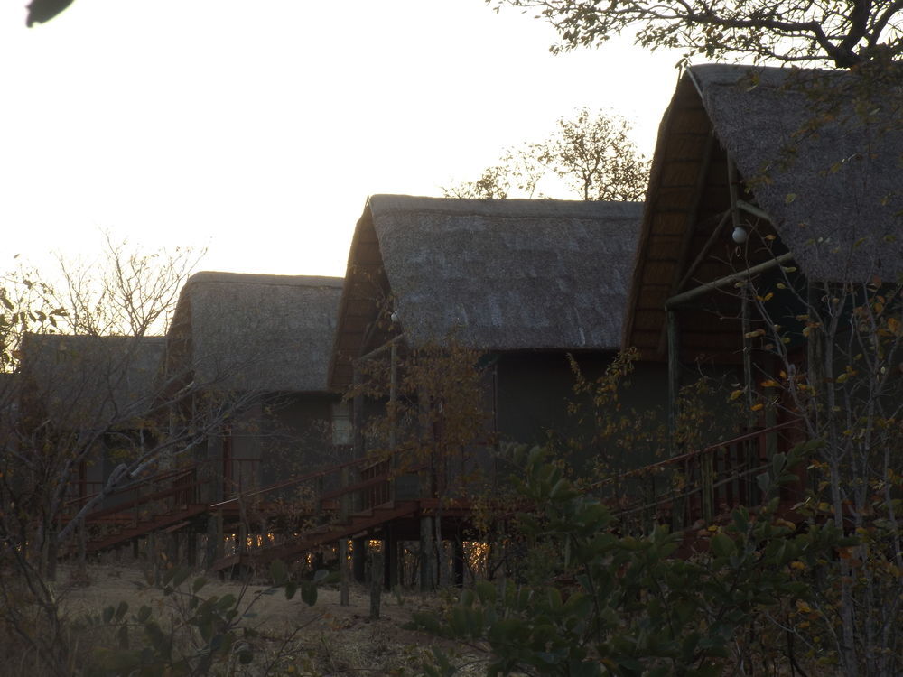 Lion Roars Lodge Lesoma Eksteriør billede