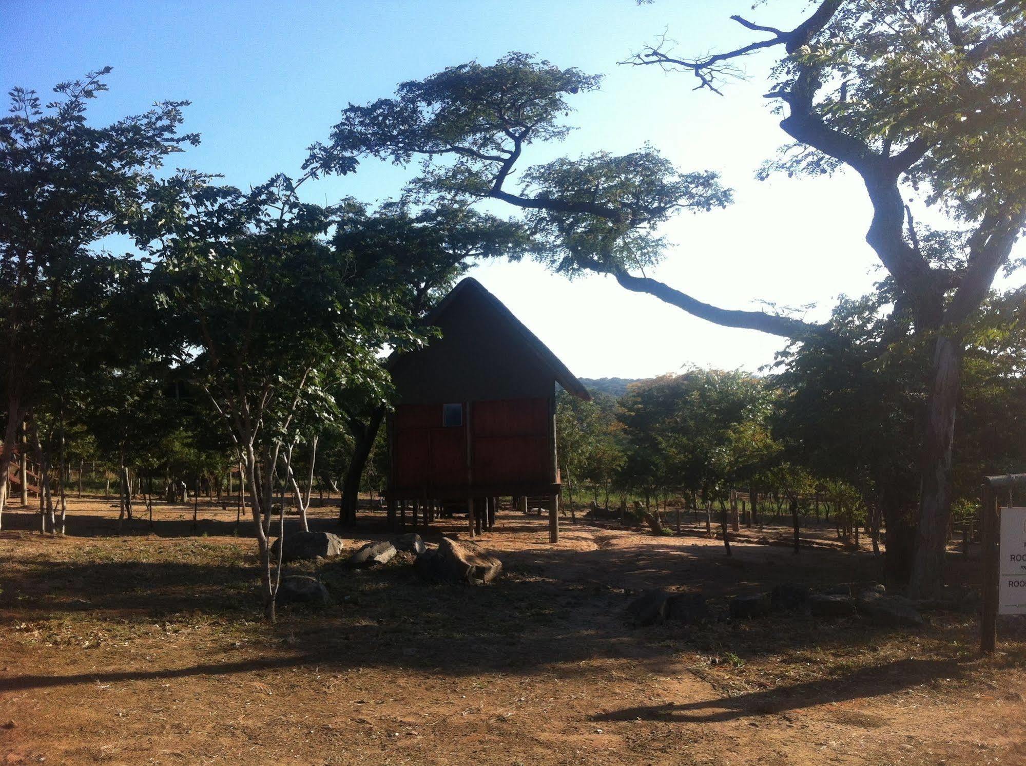 Lion Roars Lodge Lesoma Eksteriør billede