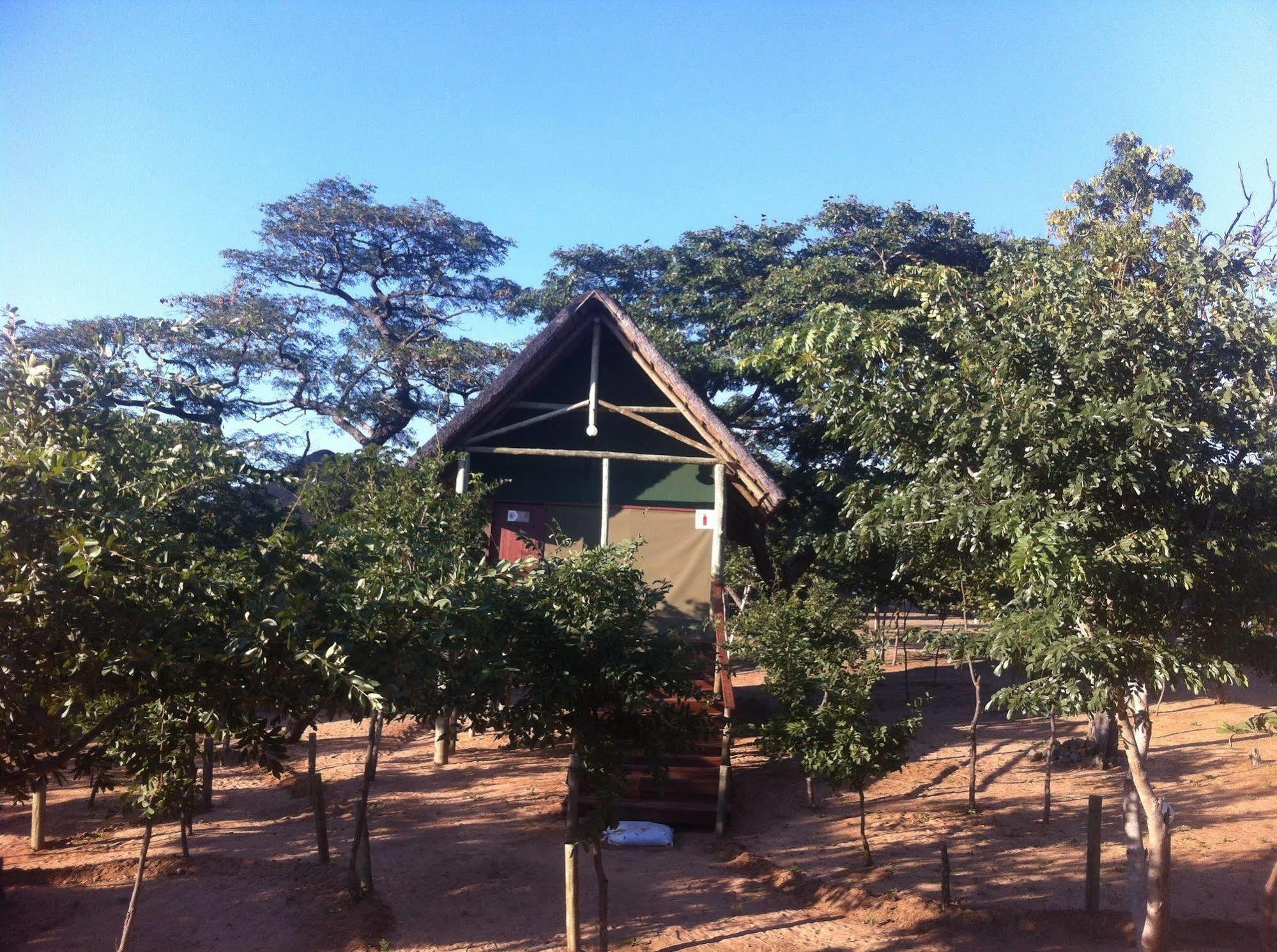 Lion Roars Lodge Lesoma Eksteriør billede