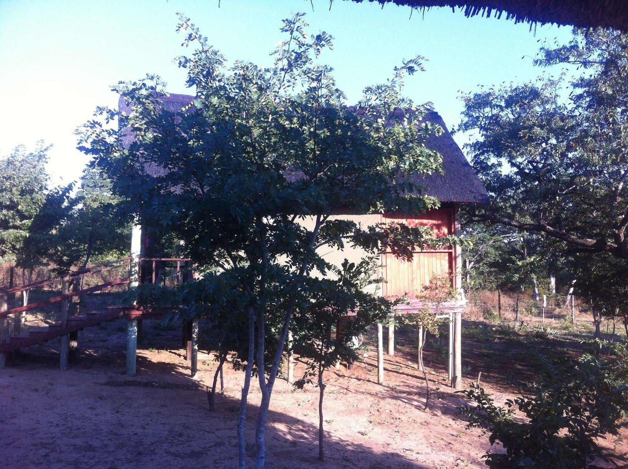 Lion Roars Lodge Lesoma Eksteriør billede