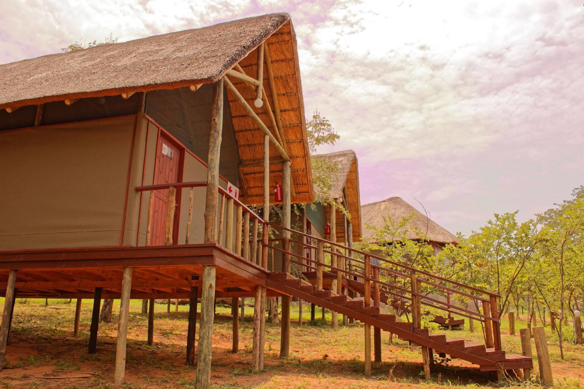 Lion Roars Lodge Lesoma Eksteriør billede